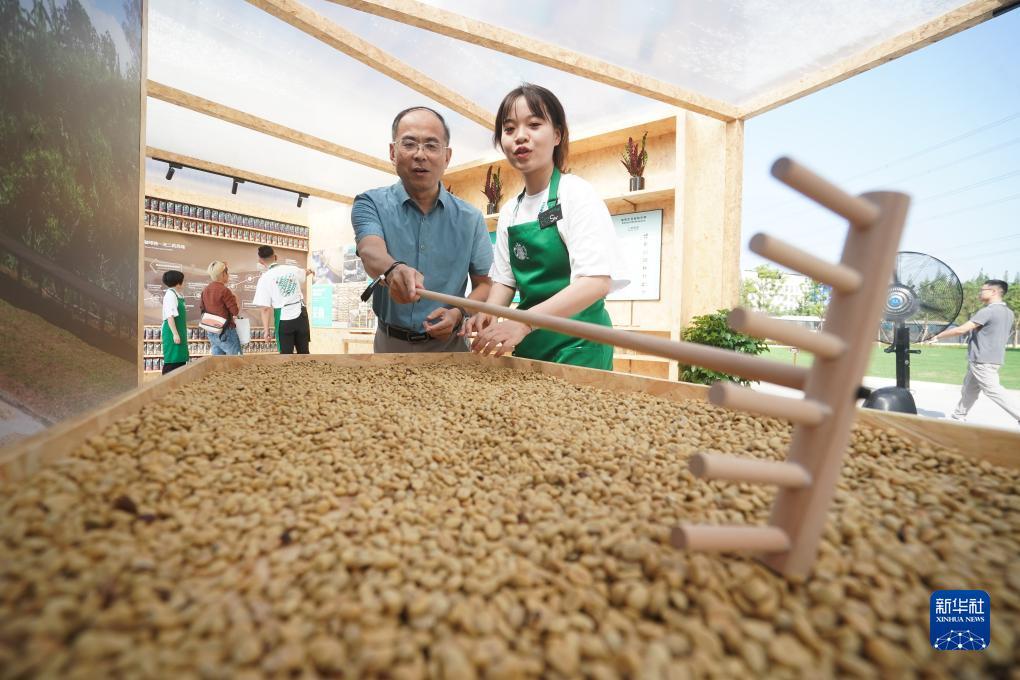 白菜大全自动送彩金不限ip